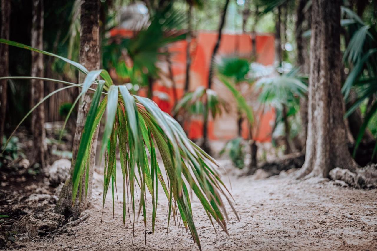 Lunita Jungle Experience Hotel Puerto Morelos Exterior foto