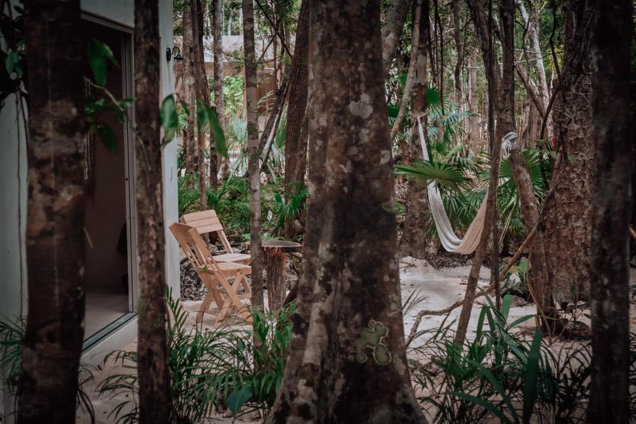 Lunita Jungle Experience Hotel Puerto Morelos Exterior foto